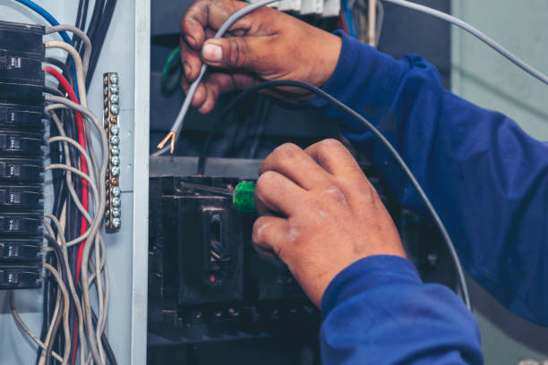 Best Home Electrical Repair  in Ontonagon, MI